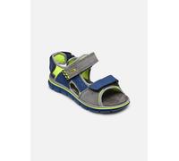 Primigi Tevez, Sandalias, Azules Gris, 27 EU