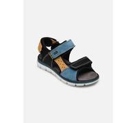 Primigi PTV 38961 36 Negro