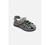 Primigi Tevez 27 Gris