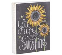 Primitives by Kathy 26853 - Cartel Retro de Madera con Mensaje You Are my Sunshine