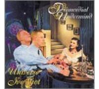Primordial Undermind - Universe I've Got