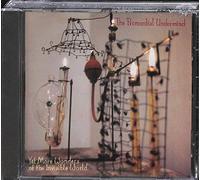 Primordial Undermind - Yet More Wonders Of The Invisible World