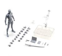 PRIMUZ Action Decor Arts, Figura de acción Masculina y Femenina de Chan, Arts Muñeca móv con articulación Completa, Modelo de Juguete Figuras de colección de muñecas de acción para Escritorio