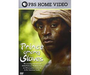 Prince Among Slaves [USA] [DVD]