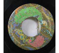 Prince And The Revolution - Prince And The Revolution 45 RPM She's Always In My Hair / Raspberry Beret