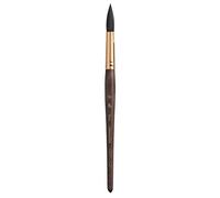 Princeton Artist Brush Neptune - Pinceles para Acuarela, Serie 4750, Ardilla sintética, Round, Size 16 Round