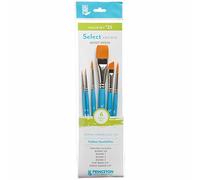 Princeton Pinceles Select Sintético Value Set 22 – Set de 6