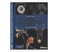 principais temas em urologia cirurgia v ernesto reggio l