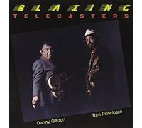 Principato, Tom - Blazing Telecasters [Vinyl]