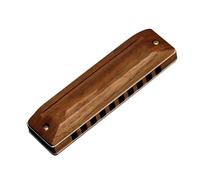 principiantes armonica Armónica 10 Agujeros 20 Melodías Órgano Bucal Blues Armónica De Lujo Clave De C Para Adultos Principiantes