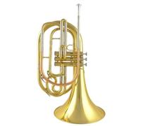 Principiantes Cuerno Francés Banda De Música Trompa Instrumentos Musicales