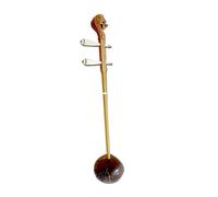principiantes erhu Ramita Agria Tradicional De Estilo Chino, Cáscara De Coco Natural, Erhu Puesta En Escena, Instrumento Musical De Cuerda Erhu