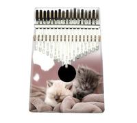 Principiantes Kalimba Kalimba De 17 Notas Una Guía Para Principiantes Sobre La Pintura Con Piano Dedos(7)