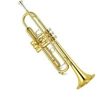 principiantes trompeta Instrumento De Trompeta En Si Bemol Instrumentos De Latón Para Principiantes Introducción A La Trompeta Profesional(Color:Gold)