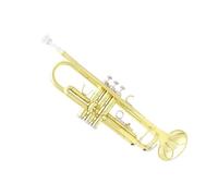 principiantes trompeta Trompeta Bb Profesional Material De Latón Conjunto De Instrumentos De Viento Musical Trompeta