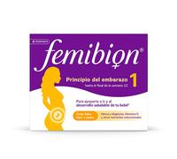 Principio Del Embarazo 1