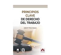 Principios clave de Derecho del trabajo (Bolsillo)