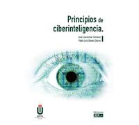 Principios de ciberinteligencia (SIN COLECCION)