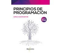 Principios De Programacion