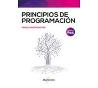 Principios De Programación (ebook)