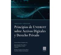 PRINCIPIOS DE UNIDROIT SOBRE LOS ACTIVOS DIGITALES Y DERECHO PRIVADO