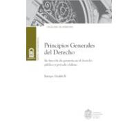 Principios Generales Del Derecho (ebook)