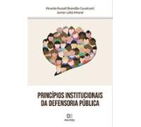 Princípios Institucionais Da Defensoria Pública (ebook)