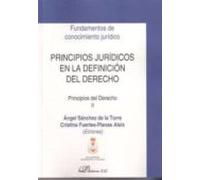 Principios Juridicos En La Definicion Del Derecho