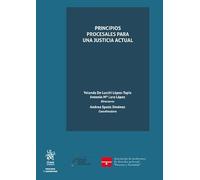 Principios procesales para una justicia actual (Proceso y Garantías)