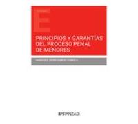 Principios Y Garantías Del Proceso Penal De Menores (Papel + E-book)