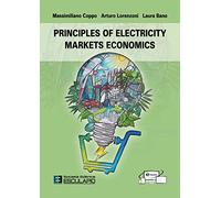 Principles of electricity markets economics
