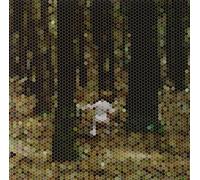 Principles of Geometry - A Mountain for President [Import]