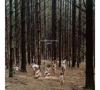 Principles Of Geometry - Lazare