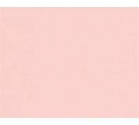 Print4Life - Papel de colores (125 folios, formato A4, 160 g) saumon