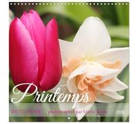 Printemps toute l'année (Calendrier mural carré 2026 30x30 cm) Calendrier double avec une page pour vos prises de notes: Des fleurs de printemps en toute saison