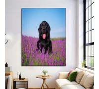Prints Negro Púrpura Perro Negro En Un Campo De Flores Pósters De Arte De Pared Decoración De Dormitorio,Animales Del Campo Laminas Decorativas Impressions Sobre Lienzo Cuadros,Sin Marco 50X70Cm