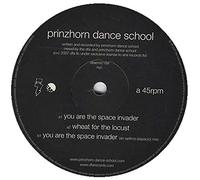 Prinzhorn Dance School - You Are The Space Invader
