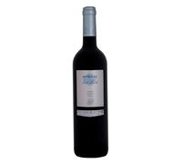 Embruix de Vall-Llach 2023