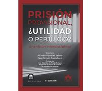 Prisión provisional, ¿utilidad o perjuicio?: Una visión interdisciplinar: 1 (Monografías)