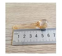 Prisma de araña de cristal, atrapasueños, 10 piezas de cristal colgante gota agua 16 * 60mm vidrio for iluminación candelabro prismas cristales lámpara repuesto(C-hampagne)