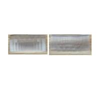 Prismas y caleidoscopios 2 uds Lente óptica Fresnel Lente de inducción infrarroja Longitud 25mm 23mm Distancia lejana 15m 16m Kits de óptica para el Aula de Ciencias (Color : 3574)