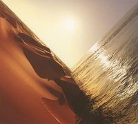 Pritchard Mark - Under the Sun