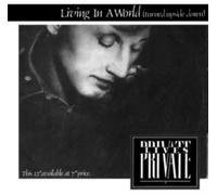 PRIVATE LIVES - LIVING IN A WORLD 12 inch (12" Vinyl) UK EMI 1984