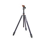 Pro 2.0 Winston Grau - Hochleistungs-Stativ mit 3 Beinsektionen, 40 Kg Tragkraft und mit Kugelkopf AirHed Pro