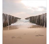 Pro-Art gla1138b - Cuadro de Cristal ('Vanishing Point I' 50 x 50 cm