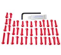 Pro-Bolt EDU055 - Juego de tornillos de motor para Ducati ST2 944 (aluminio), color rojo