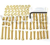 Pro-Bolt EKA297 - Kit de tornillos de motor para Kawasaki Z1000, color dorado