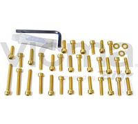 Pro-Bolt EYA225 - Kit de tornillos de motor para Yamaha XJ6 Diversion (aluminio), color azul