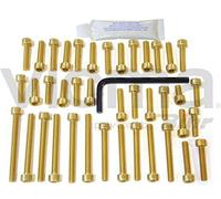 Pro-Bolt EYA351 - Kit de tornillos de motor para Yamaha TDM 850, color dorado