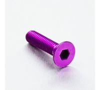 Pro-Bolt LCS625 - Tornillo avellanado (aluminio, M6 x 1300 x 25 mm), color morado
